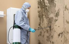 Best Mold Prevention Services  in Hunter, TN